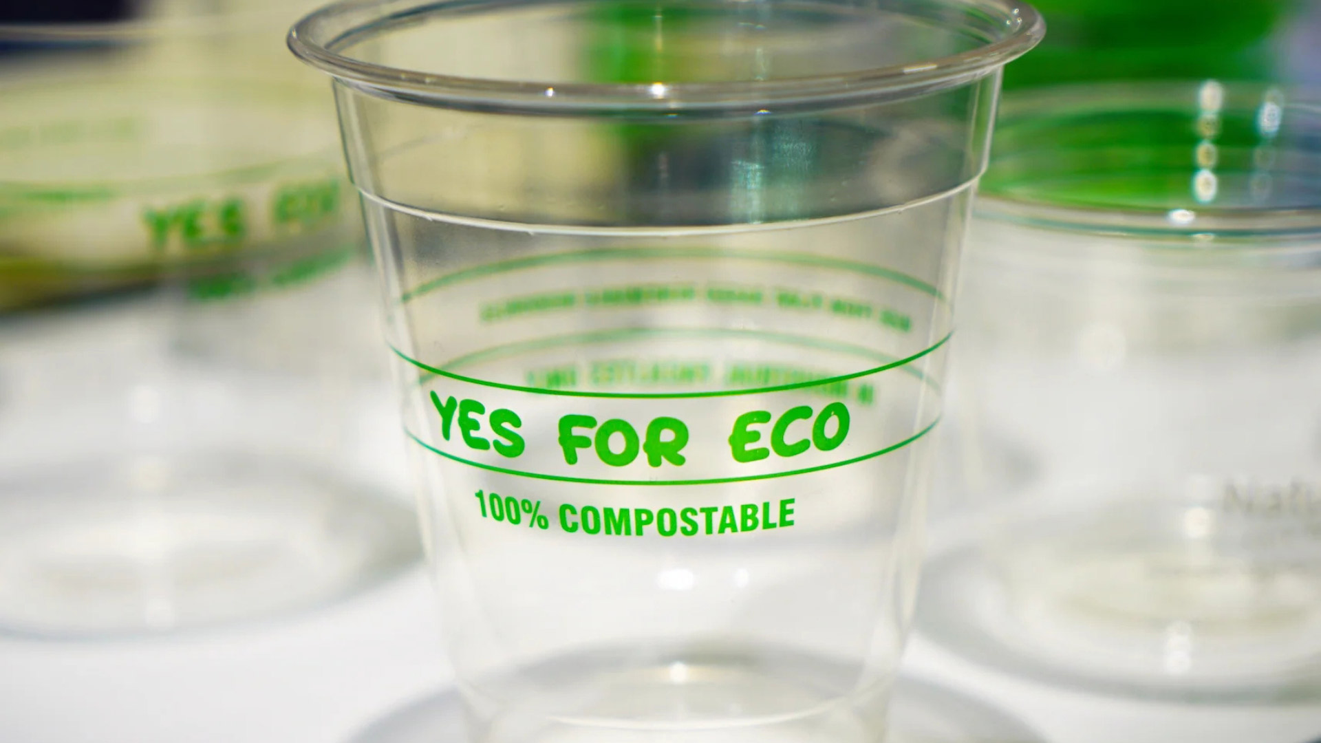Trash to Treasure: One World’s Bet on Bioplastics