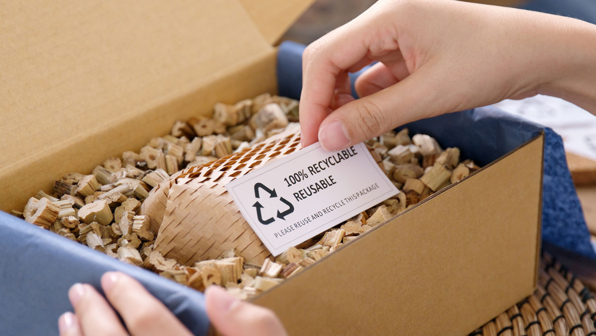 From Lab to Lunchbox: Cellulose Sparks Packaging Shift