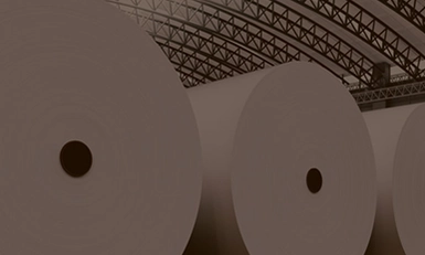 Paper & Pulp Summit, USA 2025
