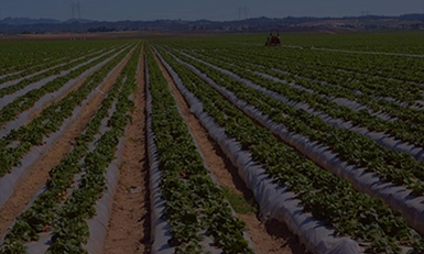 AGRI-PLASTICS, USA 2025