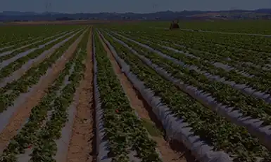 AGRI-PLASTICS, USA 2025