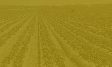 AGRI-PLASTICS, USA 2025