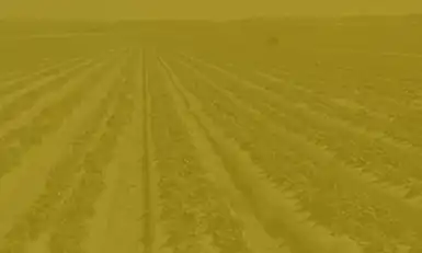 AGRI-PLASTICS, USA 2025